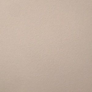 Meet your Posher, Cecilia